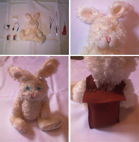 Lepufo gets some new eyes Lepufo gets some new eyes